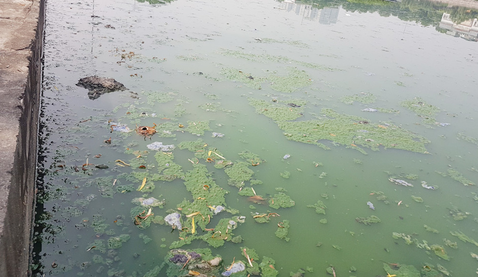 Hồ Văn Quán: Từ điểm nhấn biến thành điểm ô nhiễm - Ảnh 1