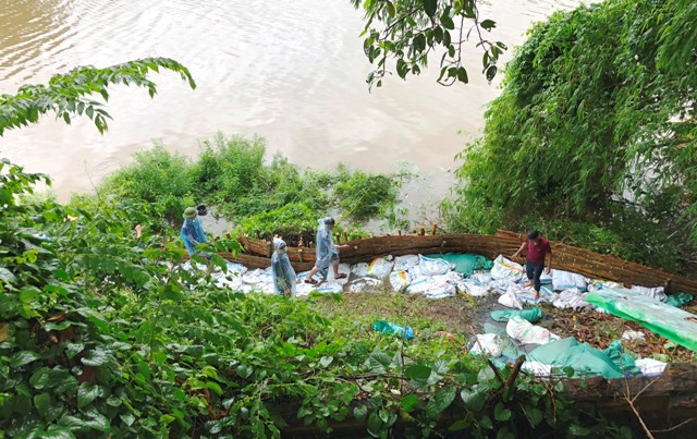 Hà Nội: Đóng 250 cọc tre chống sạt lở ven sông Đáy tại huyện Chương Mỹ - Ảnh 2