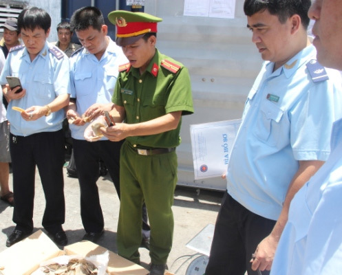 Hải Phòng: Hải quan thu giữ hàng trăm kg nghi vảy tê tê - Ảnh 1