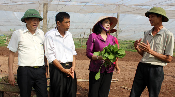 Huyện Hoài Đức phấn đấu đạt chuẩn huyện nông thôn mới trong năm nay - Ảnh 2