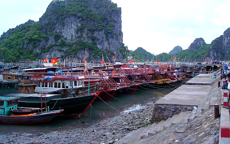 Quảng Ninh: Tạm ngừng cấp phép cho các phương tiện thủy ra khơi từ 6 giờ ngày 23/7 - Ảnh 1