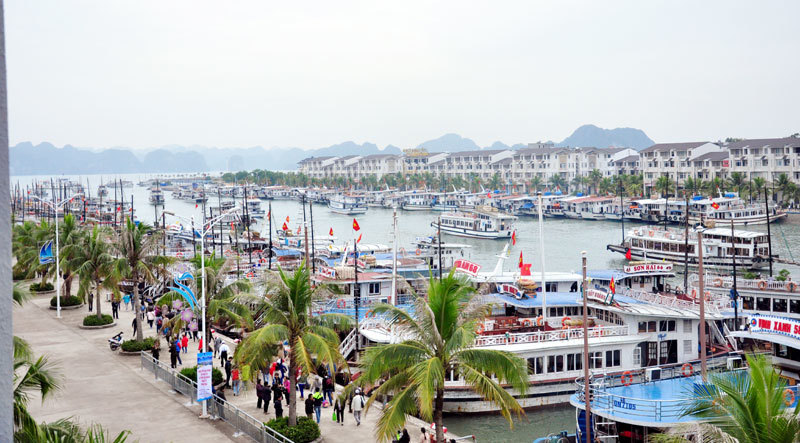 Quảng Ninh: Ngừng cấp phép tham quan đối với tàu du lịch từ 13h chiều 16/7 - Ảnh 1