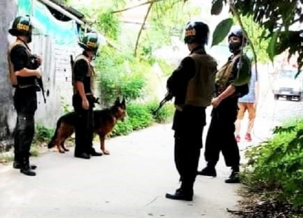 Nghệ An: Lãnh đạo địa phương lên tiếng về vụ bắt giữ cơ sở nuôi nhốt hổ trái phép - Ảnh 1