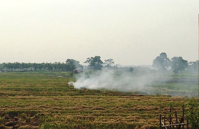 Nhiều nông dân huyện Mê Linh vẫn đốt rơm rạ giữa nắng nóng 40 độ C - Ảnh 1