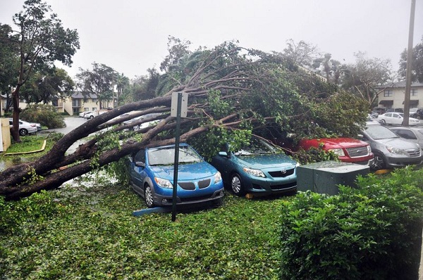 [Video] Siêu bão Irma "quật nát" Florida - Ảnh 3