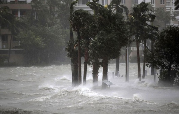 [Video] Siêu bão Irma "quật nát" Florida - Ảnh 5