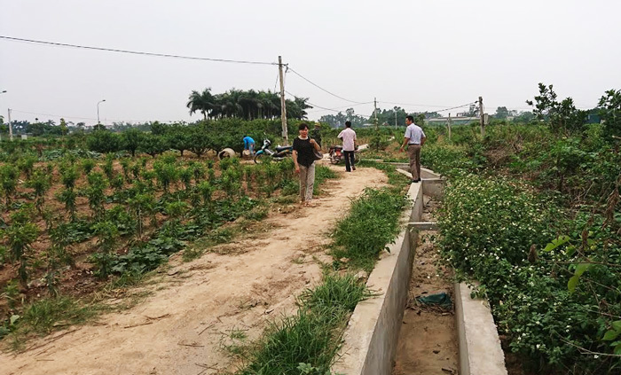 Đất xen kẹt hoang hóa ở Hà Đông hồi sinh thành vùng nông sản an toàn - Ảnh 2
