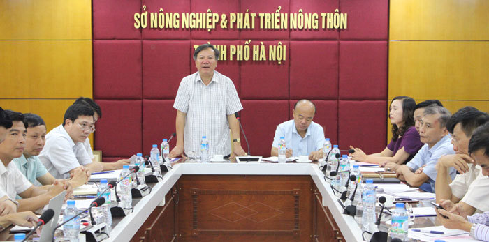 Đẩy mạnh hợp tác nông nghiệp giữa Hà Nội với Lào Cai - Ảnh 1