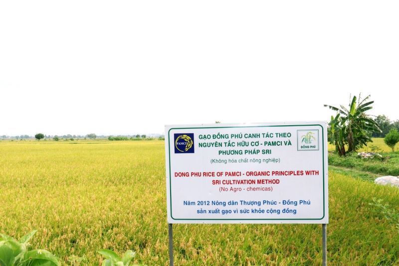 Những cánh đồng không thuốc bảo vệ thực vật ở Hà Nội - Ảnh 2