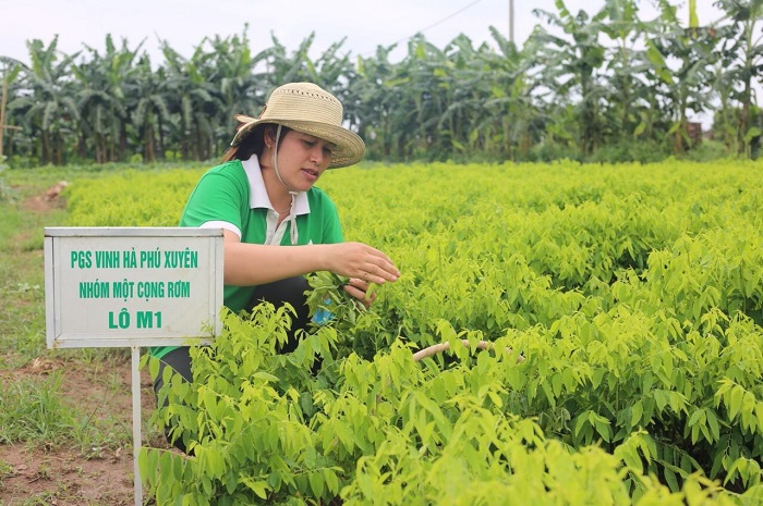 Báo Kinh tế & Đô thị: Tin tức tổng hợp hấp dẫn nhất trên số báo in ra ngày 14/7 - Ảnh 15