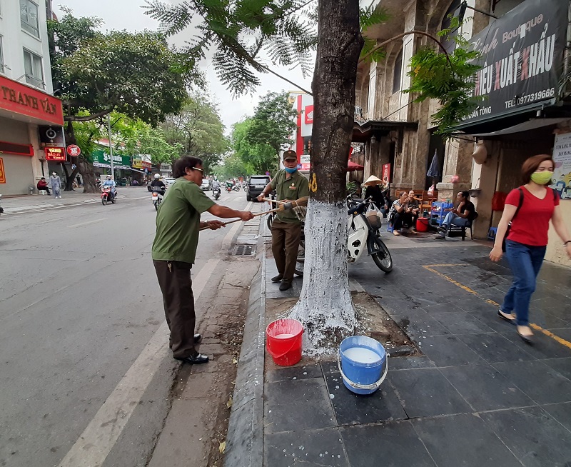 Phường Nguyễn Du (quận Hai Bà Trưng): Ra quân thi đua cao điểm tuyên truyền về văn minh đô thị, chào mừng cuộc bầu cử - Ảnh 5