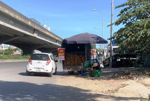 Nguy cơ lây lan dịch bệnh từ “chợ cóc” trên đường Nguyễn Xiển - Ảnh 2