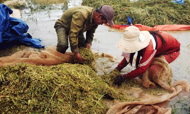 Mưa lũ gây thiệt hại 80 tỷ đồng tại Đắk Lắk, Ninh Thuận - Ảnh 1