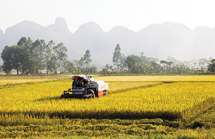 Đổi thay ở nông thôn Hà Nội - Ảnh 1