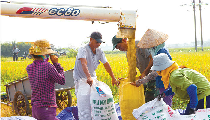 Đổi thay ở nông thôn Hà Nội - Ảnh 2