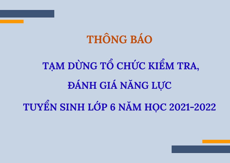 Hà Nội đề nghị các trường tạm dừng tổ chức kiểm tra đánh giá năng lực tập trung - Ảnh 3