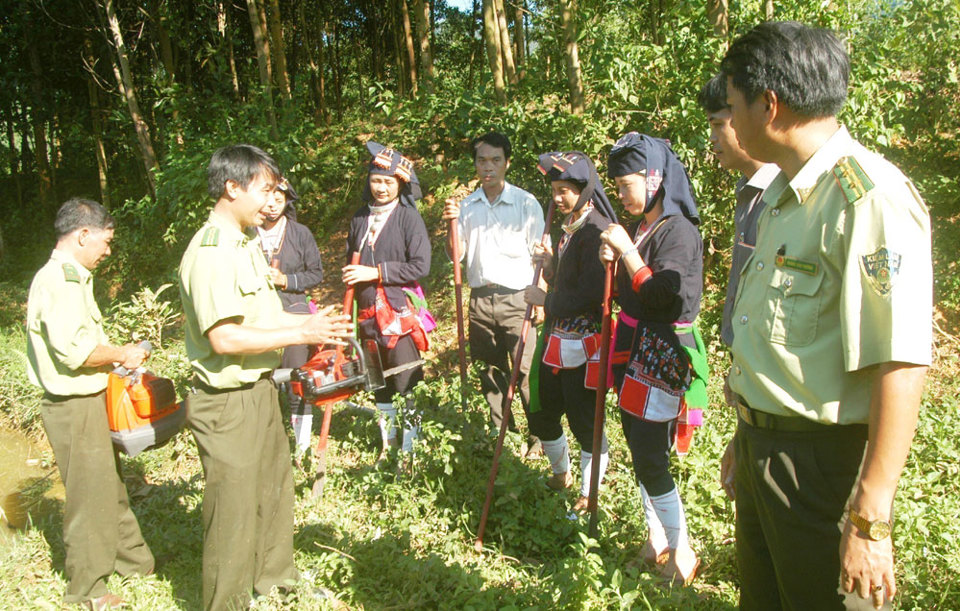 Phòng cháy, chữa cháy rừng: Không chủ quan, lơ là - Ảnh 1