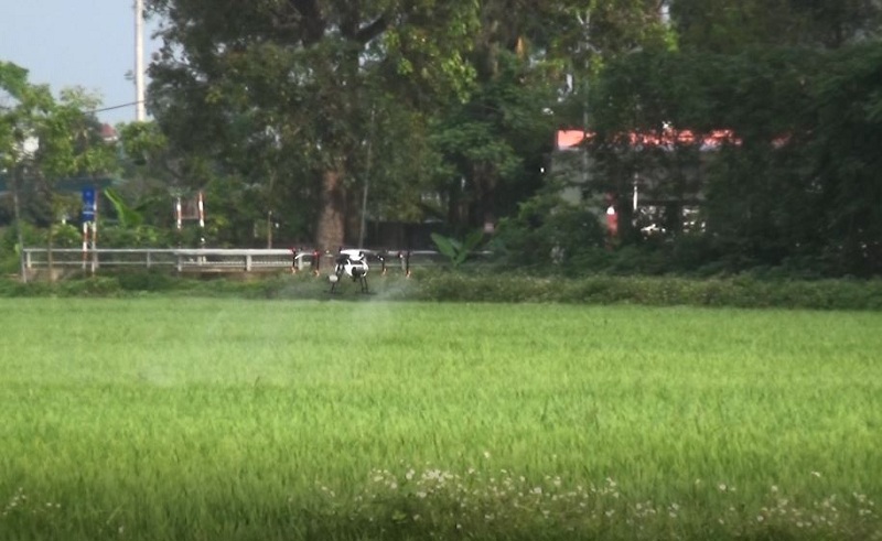 Huyện Thạch Thất: Tổ chức phun thuốc trừ sâu bằng máy bay không người lái - Ảnh 2