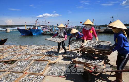 Hoàn thành dứt điểm bồi thường cho nhân dân 4 tỉnh miền Trung - Ảnh 1