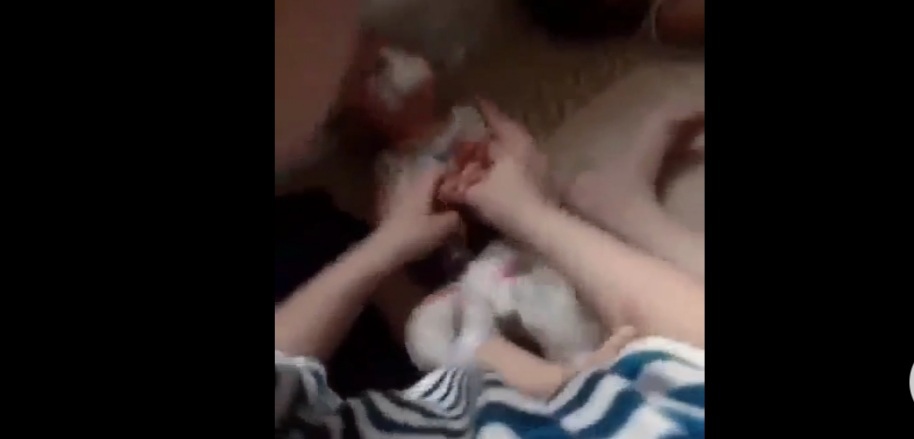 Thái Bình: Phẫn nộ hình ảnh cháu bé 11 tháng tuổi bị nhét giẻ vào miệng - Ảnh 1