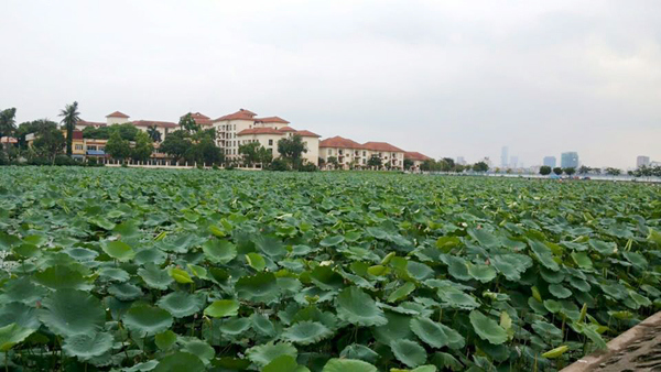 Hà Nội nắng gián đoạn, chiều tối có khả năng mưa dông rải rác - Ảnh 1