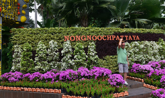 Khu du lịch sinh thái Nong Nooch mong đón nhiều du khách Việt Nam - Ảnh 4