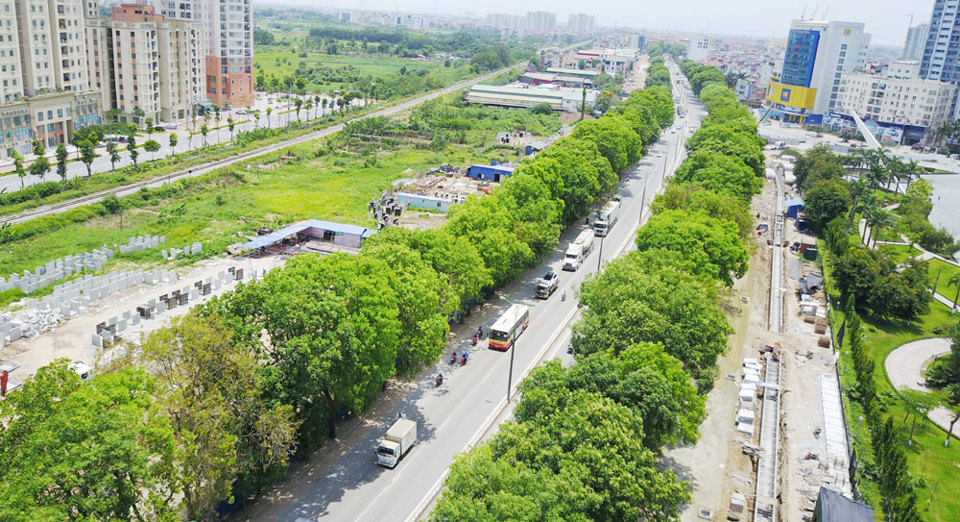 Di chuyển cây xanh để thi công đường Vành đai 3 đoạn Mai Dịch - cầu Thăng Long: Sẽ trồng lại đúng quy hoạch và đẹp hơn - Ảnh 1