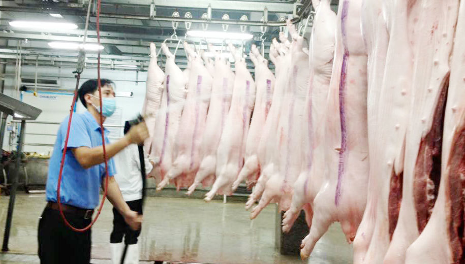 Thứ trưởng Bộ NN&PTNT Trần Thanh Nam: Đầu tư chế biến để mở rộng thị trường xuất khẩu thịt lợn - Ảnh 2