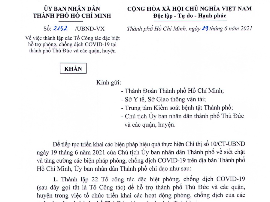 TP Hồ Chí Minh thành lập 22 Tổ Công tác đặc biệt hỗ trợ phòng, chống dịch Covid-19 - Ảnh 1
