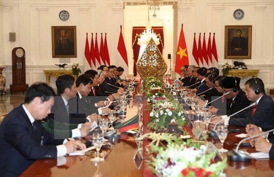Tổng Bí thư Nguyễn Phú Trọng hội đàm với Tổng thống Joko Widodo - Ảnh 1
