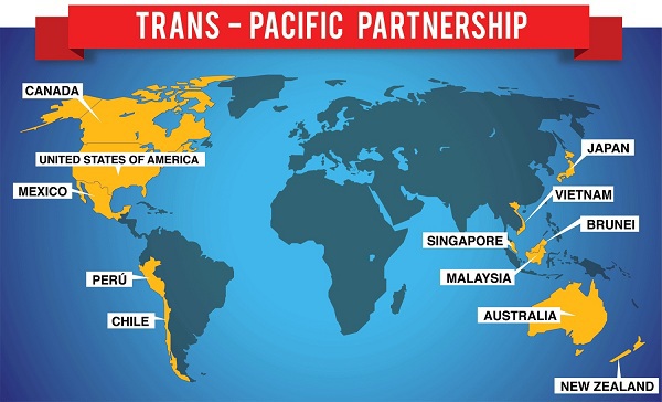 TPP sẽ tồn tại dưới hình thức nào? - Ảnh 1