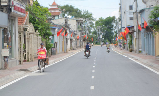 Huyện Thanh Trì (Hà Nội) đạt chuẩn nông thôn mới - Ảnh 1