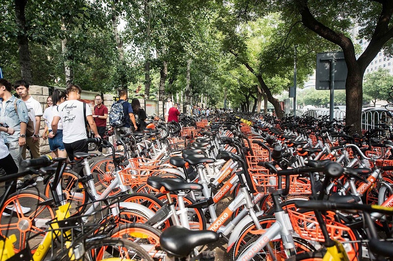 Trung Quốc "quá tải" xe đạp - Ảnh 3