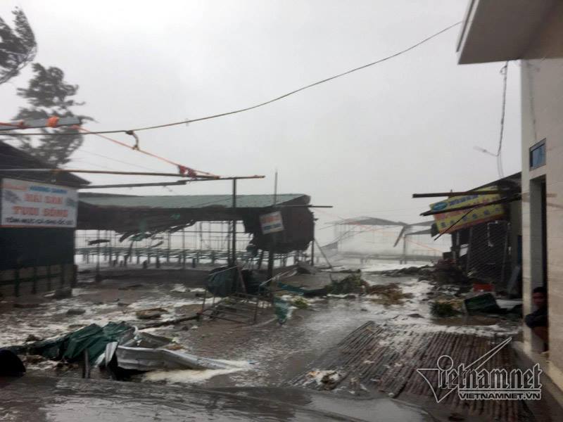 Toàn cảnh bão số 10 tàn phá miền Trung, Hà Tĩnh - Quảng Bình thiệt hại nặng nề - Ảnh 39