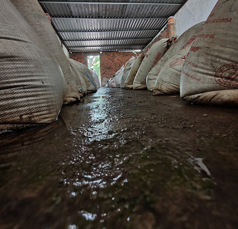 Phát hiện 15 tấn tương ớt bẩn chuẩn bị tung ra thị trường ở Đà Nẵng - Ảnh 2