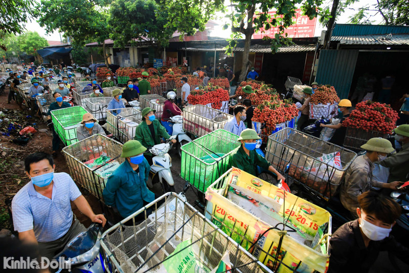 [Ảnh] Bắc Giang: Dòng người vận chuyển vải ùn tắc hàng cây số - Ảnh 16