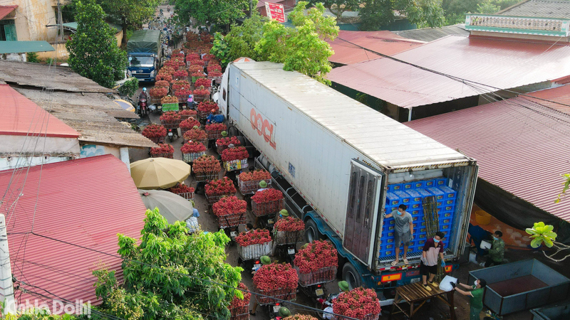 [Ảnh] Bắc Giang: Dòng người vận chuyển vải ùn tắc hàng cây số - Ảnh 6