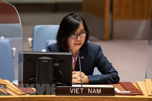 Việt Nam kêu gọi xử lý thách thức an ninh, nhân đạo ở Tây Phi và Sahel - Ảnh 1