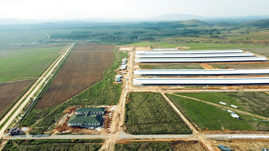 Siêu dự án trang trại của Vinamilk tại Lào sẽ "cho sữa" vào đầu năm 2022 - Ảnh 1
