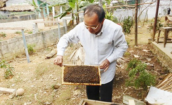 Thành phố Yên Bái: Áp dụng khoa học kỹ thuật vào giảm nghèo bền vững - Ảnh 1