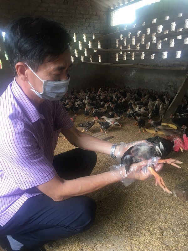 Hà Nội: Cảnh giác với cúm A/H5N8 từ gia cầm có thể lây sang người - Ảnh 1