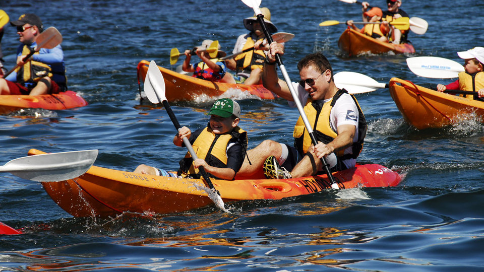 Dịch vụ chèo thuyền kayak “tái xuất” trên vịnh Hạ Long từ 1/5 - Ảnh 1