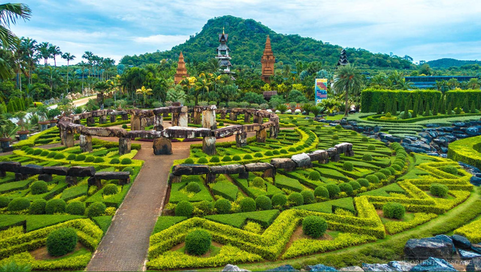 Vườn thực vật “độc nhất vô nhị” ở Thái Lan - Ảnh 1