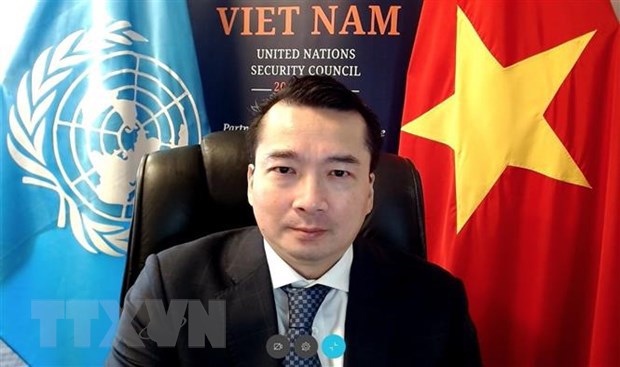 Việt Nam chủ trì cuộc họp trực tuyến của Hội đồng Bảo an về tình hình Libya - Ảnh 1