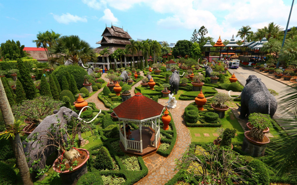 Vườn thực vật “độc nhất vô nhị” ở Thái Lan - Ảnh 2