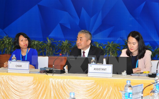 APEC 2017: Hơn 200 đại biểu dự các cuộc họp đầu tiên của SOM 2 - Ảnh 1