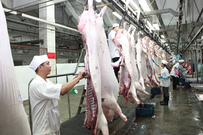 Kiểm tra hệ thống giết mổ, tiêu thụ sản phẩm ngành chăn nuôi lợn - Ảnh 1