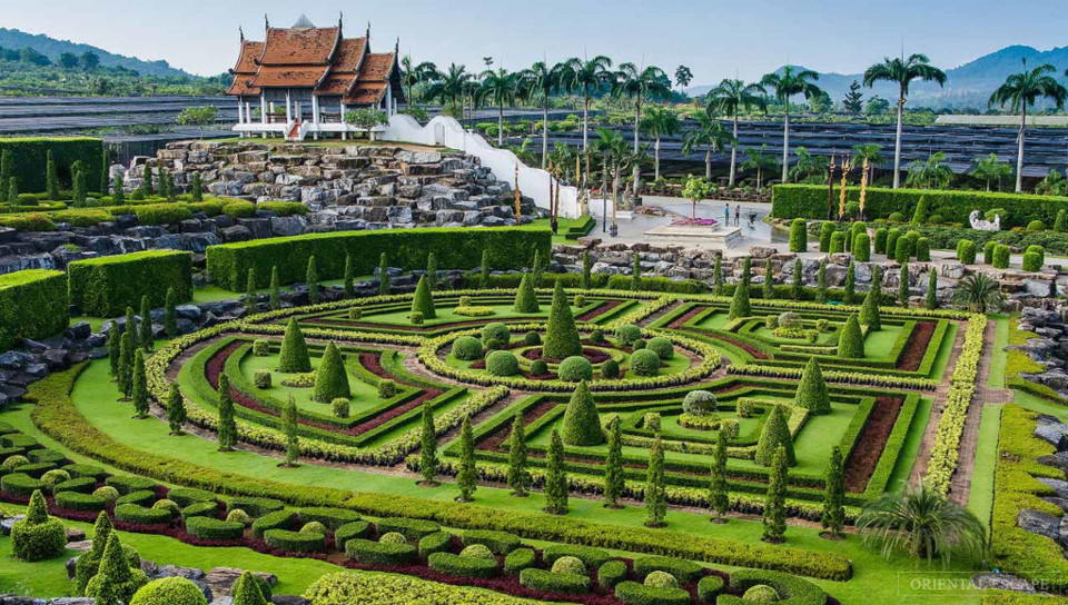 Vườn thực vật “độc nhất vô nhị” ở Thái Lan - Ảnh 3