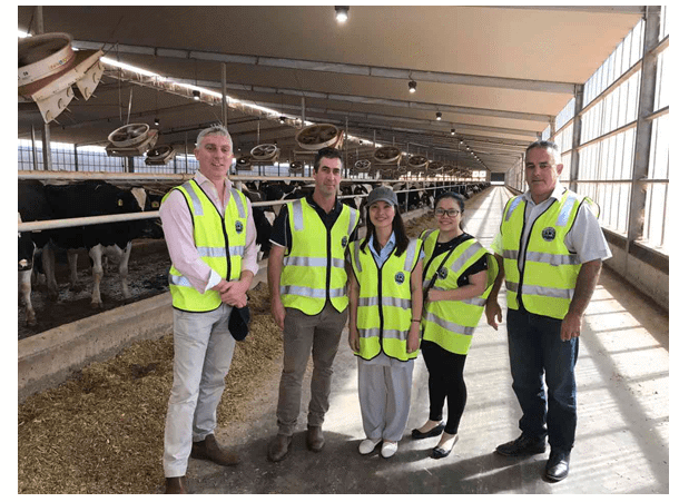 KLF sắp tung ra thị trường dòng “sữa ngoại giá nội” nhập khẩu từ Úc và New Zealand - Ảnh 7