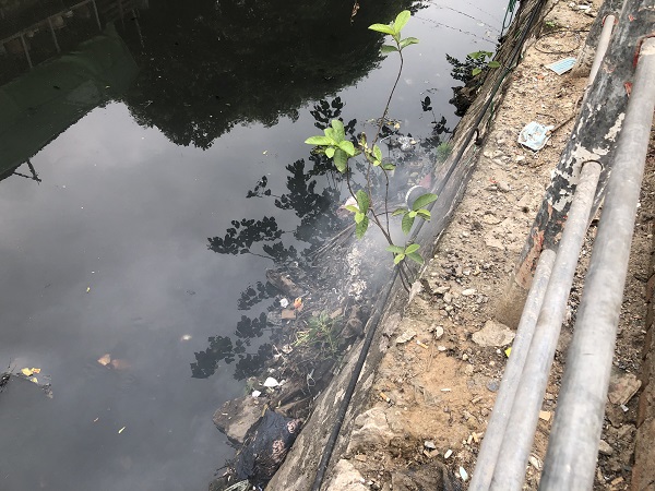 Hà Nội: Tái diễn tình trạng đốt rác bừa bãi - Ảnh 3